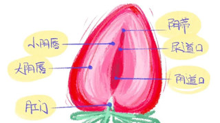 女宝家长必看「小妹妹」那点事儿—小阴唇粘连